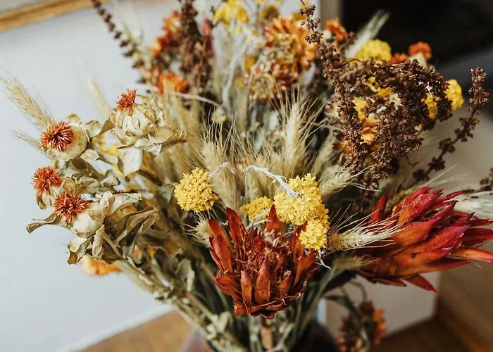 Hébergement de vacances La Maison Du Pêcheur Cherbourg-en-Cotentin