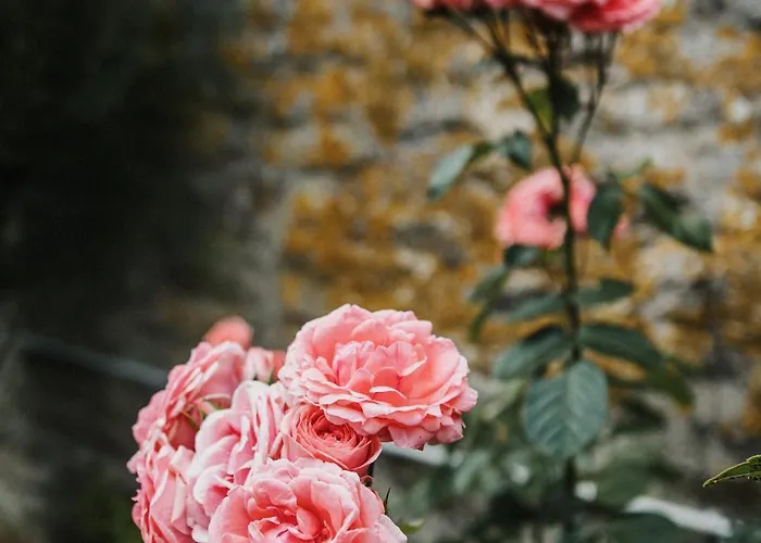 度假居 La Maison Du Pecheur